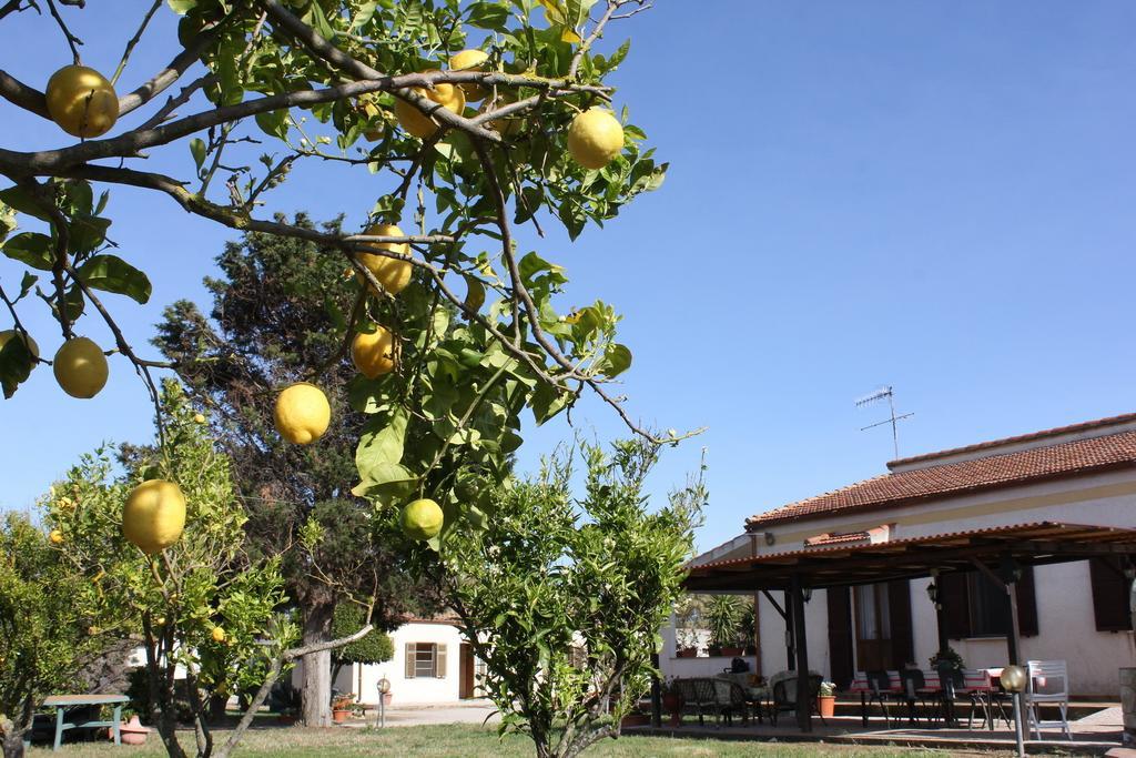 Rita B&B Sea Sun And Nature Santa Maria la Palma Pokoj fotografie